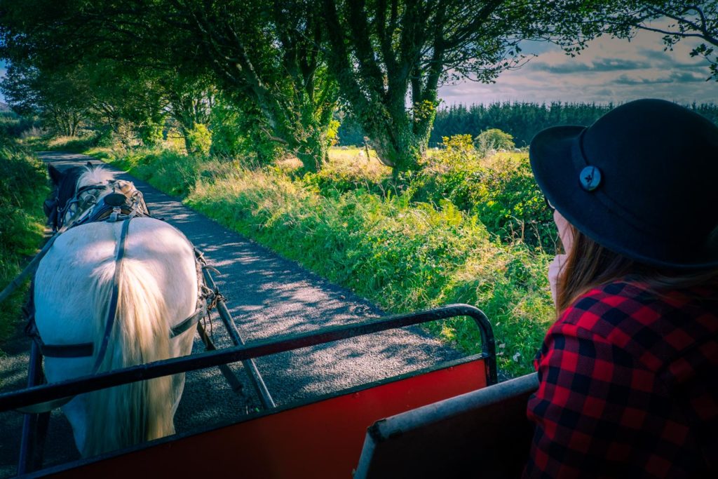 Clissmann horse carriage