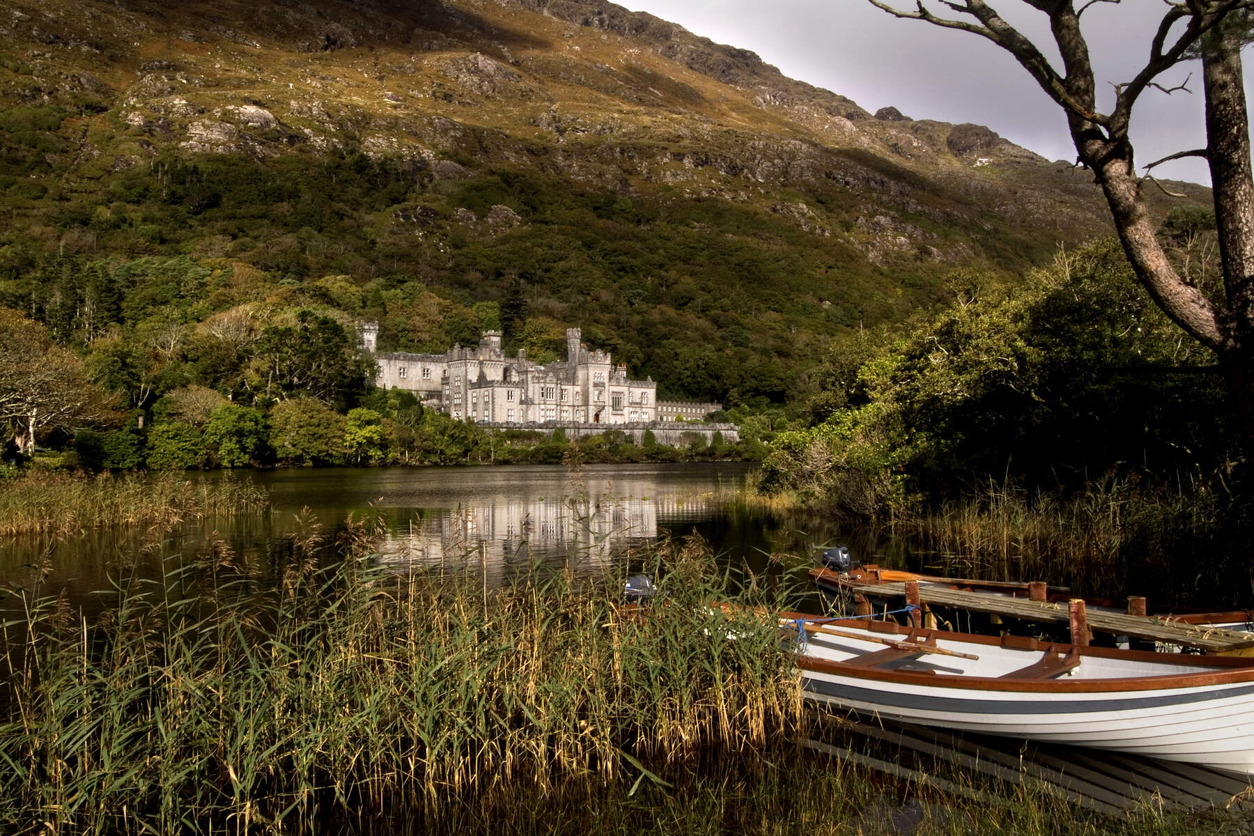 Kylemore Abbey gezien vanaf Pollacapall Lough in Connemara, met beboste heuvels en riet in de voorgrond.