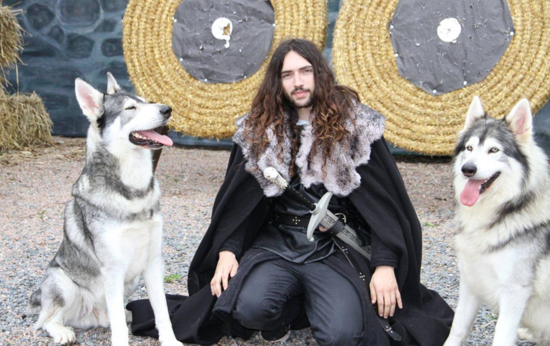 Direwolves at Winterfell