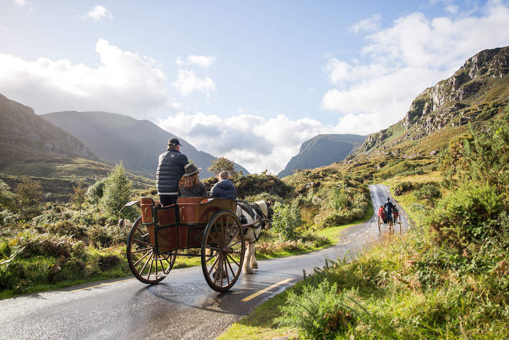 Jaunting car tour Killarney National Park Co Kerrywebsize2500x1200px