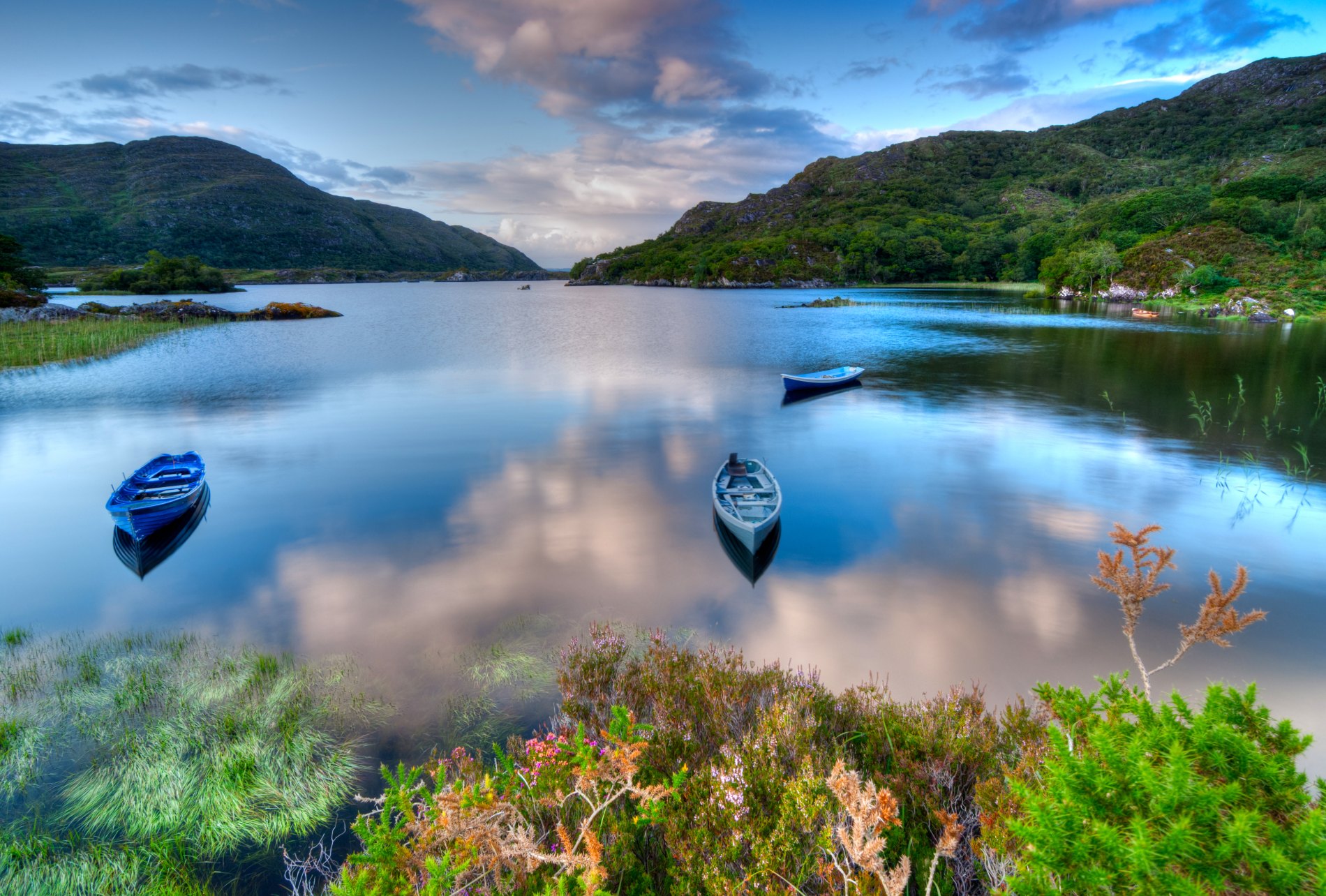 trips to ireland by boat