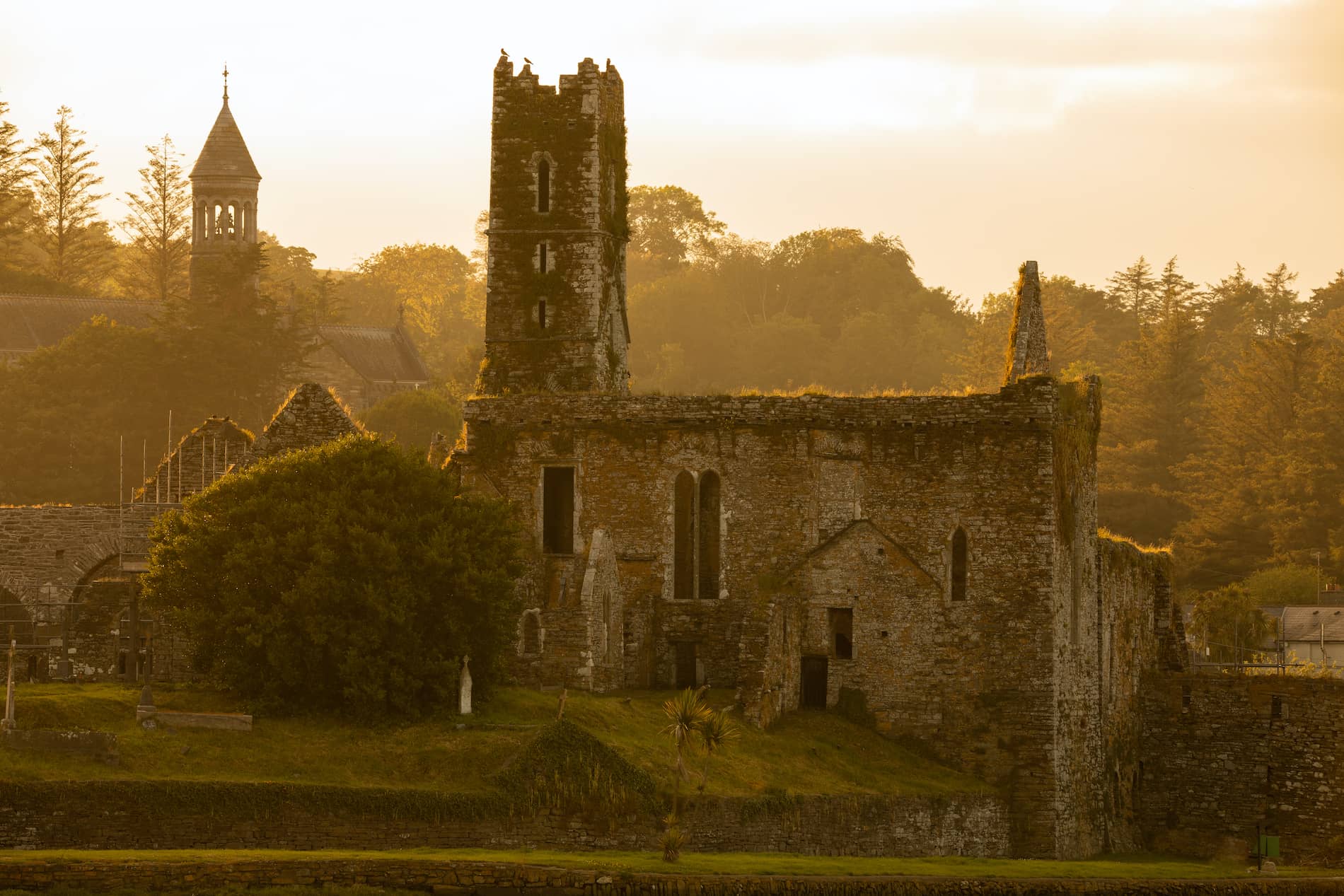 Rovine dell'Abbazia di Timoleague all'ora d'oro nella contea di Cork, circondata da alberi.