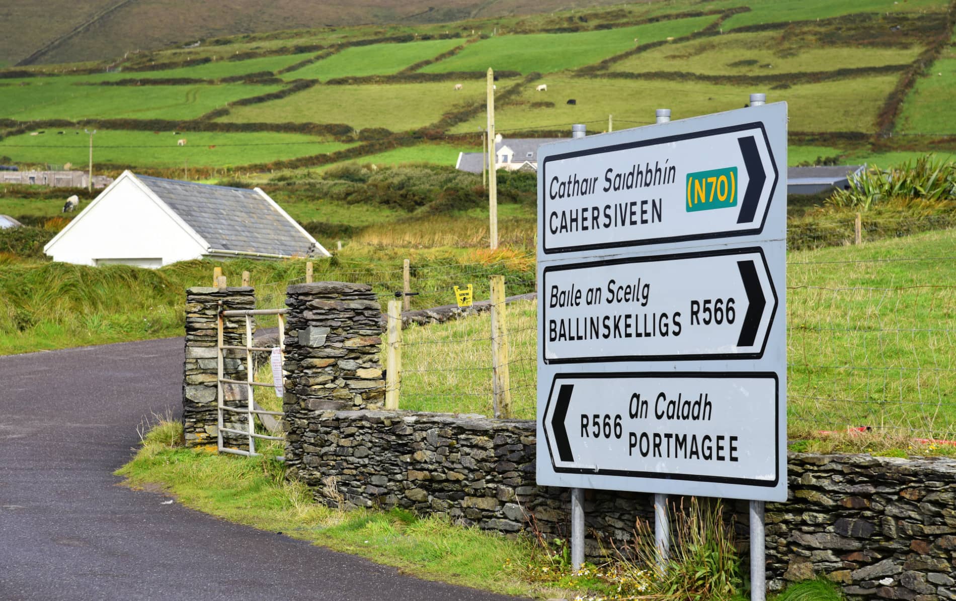 A rural road lined with stone walls and a large bilingual sign pointing to Cahersiveen, Ballinskelligs, and Portmagee.