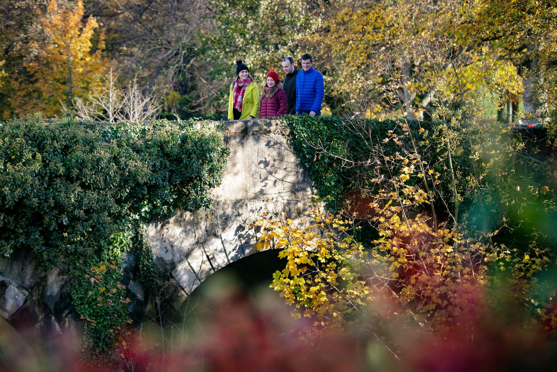 L'Irlande aux couleurs de l'automne