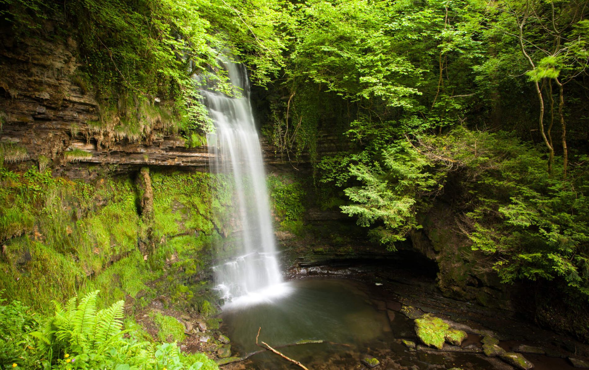 De waterval van Glencar stroomt in een schaduwrijk, mossig meertje, omgeven door het bos.