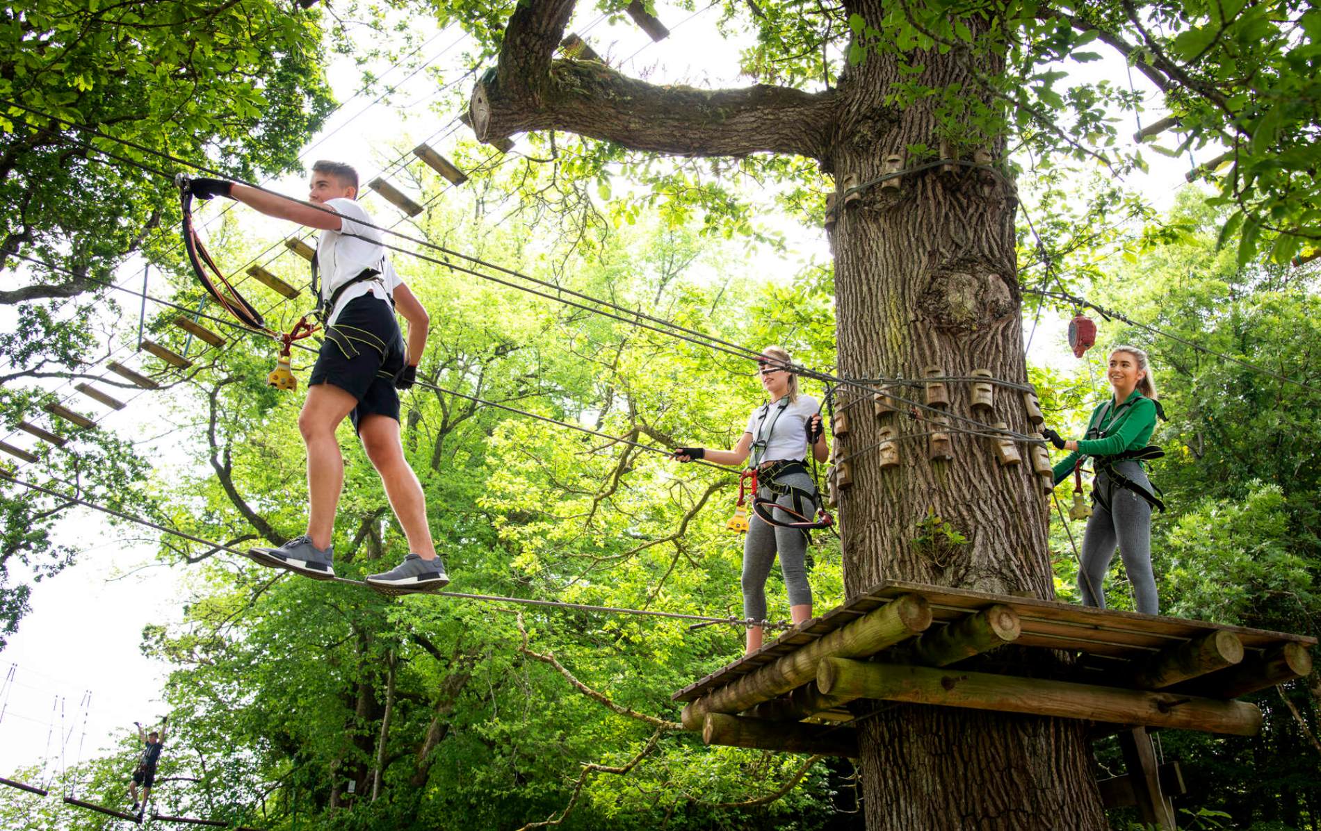 Bezoekers op een avontuur op een hangbrug tussen de bomen in het Lough Key Forest Park in county Roscommon.