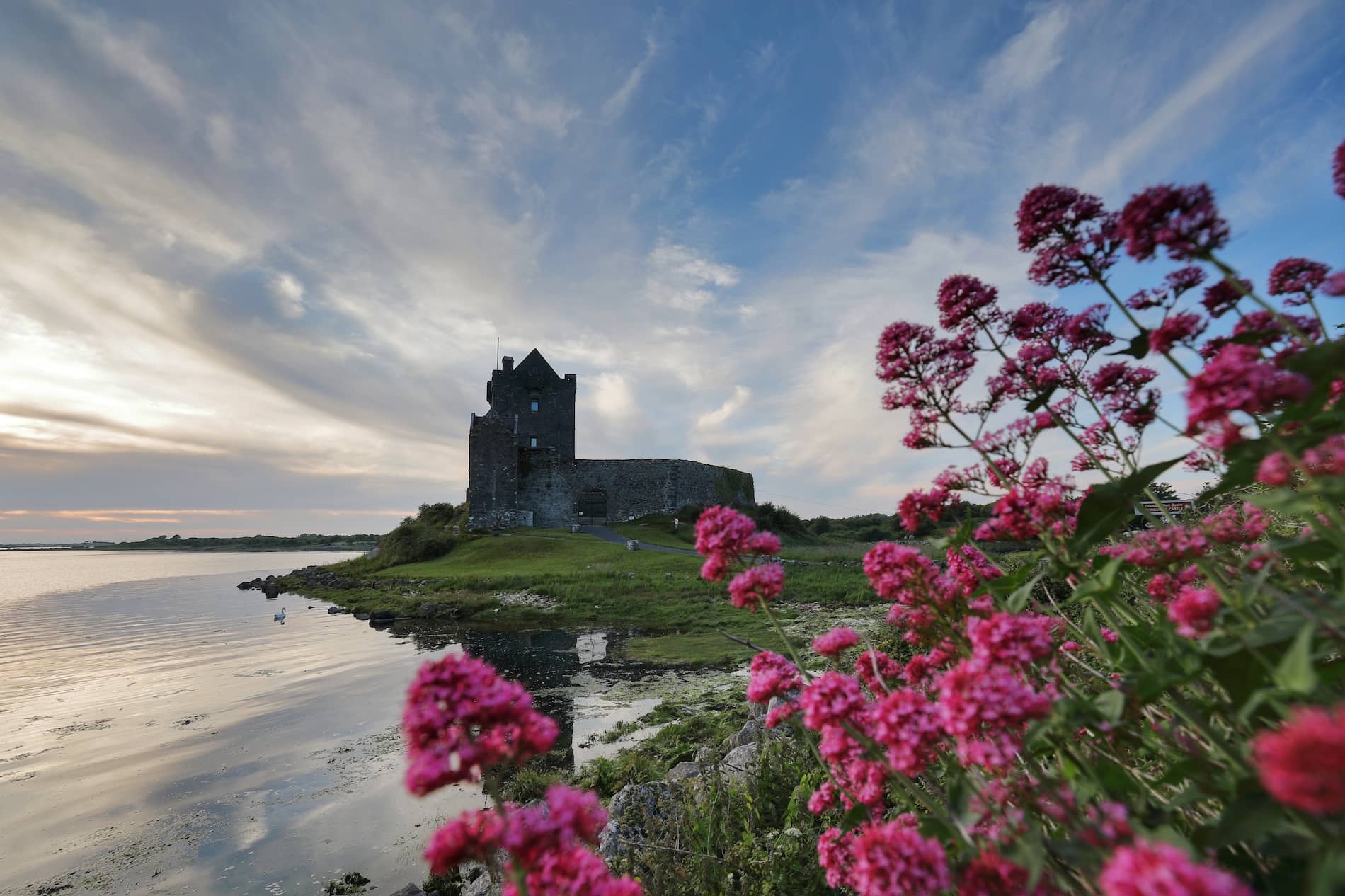 kubbra-sait-landscapes-dunguaire-galway