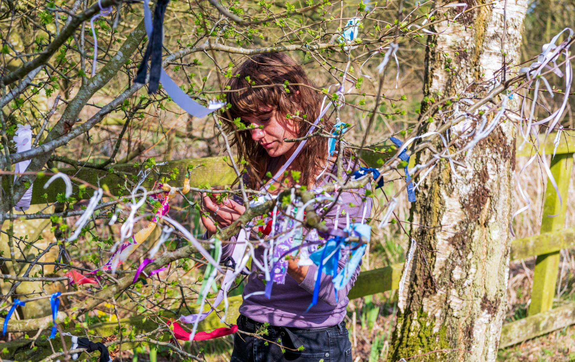 Woman tying a ribbon to a clootie tree near Faughart shrine, continuing the tradition of making offerings for healing and wishes.