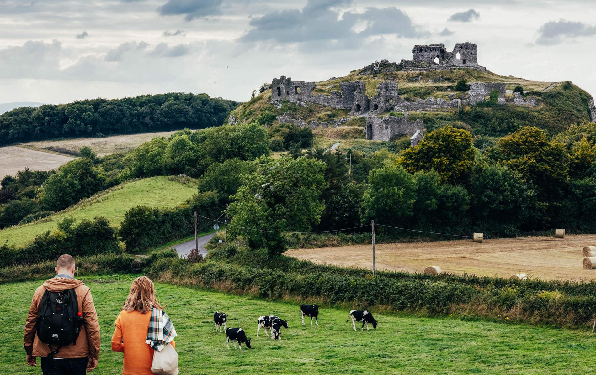 Couple walking past grazing cows towards the ruins of the Rock of Dunamase in the lush green countryside of Ireland.