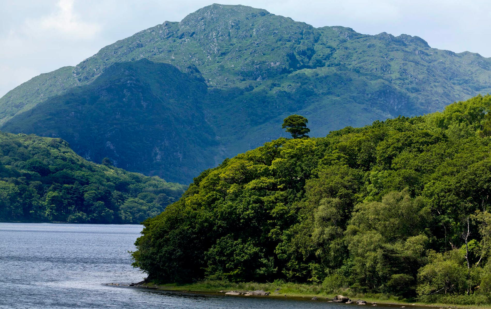 Forested shoreline and mountains around Lough Leane in Killarney National Park, Kerry.