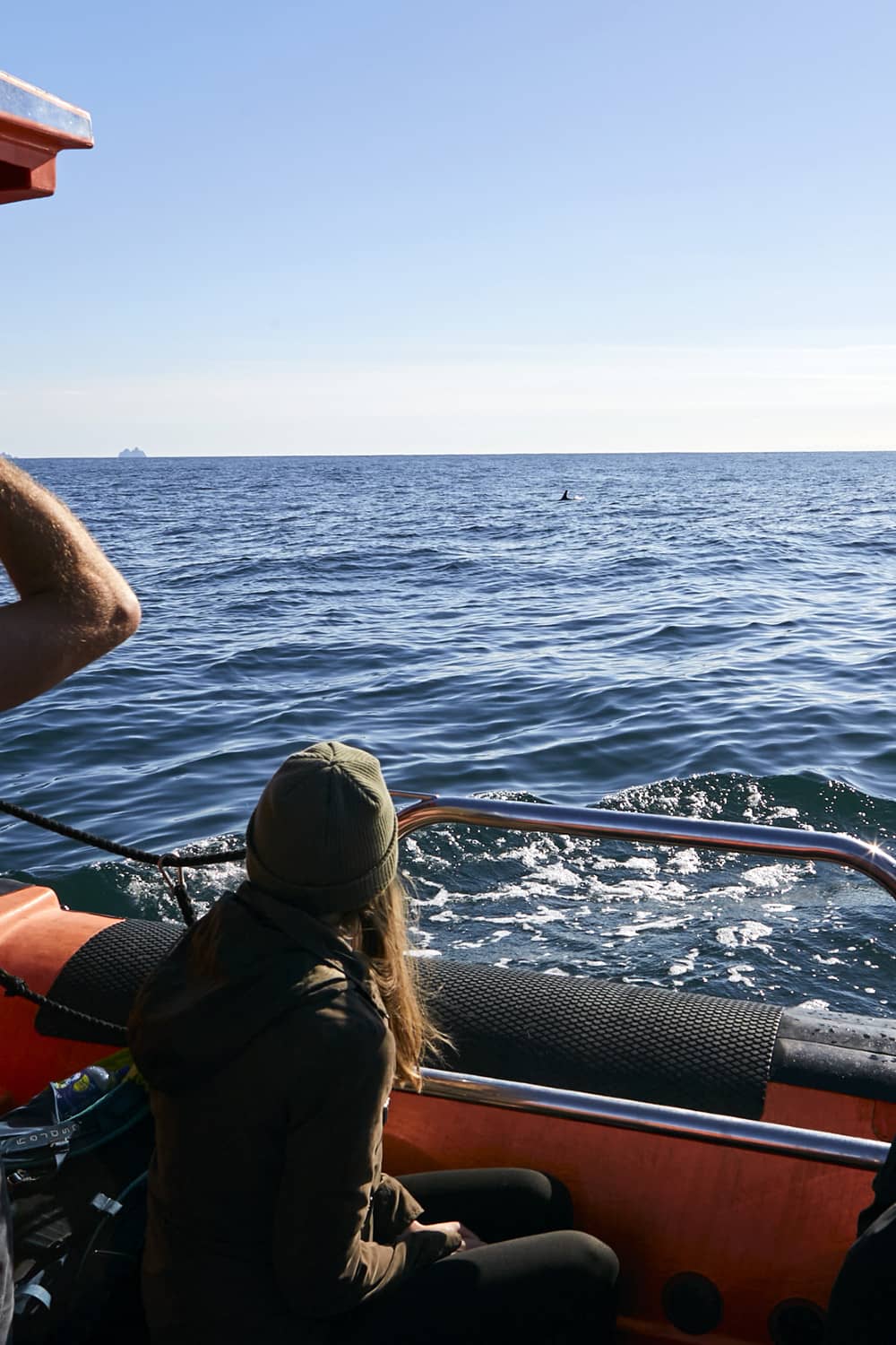 Una mujer con un sombrero y una chaqueta verdes observa el océano desde un barco turístico mientras aparece una aleta de delfín en la distancia frente a Dingle.