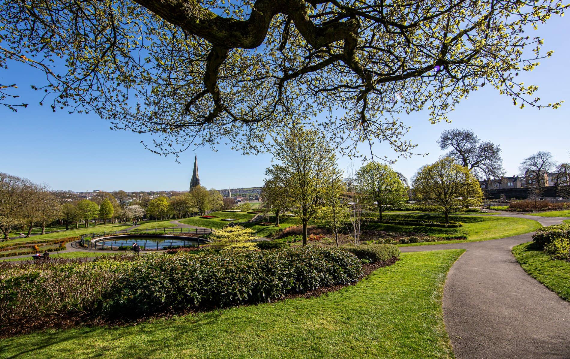 freethingsderry-brookspark