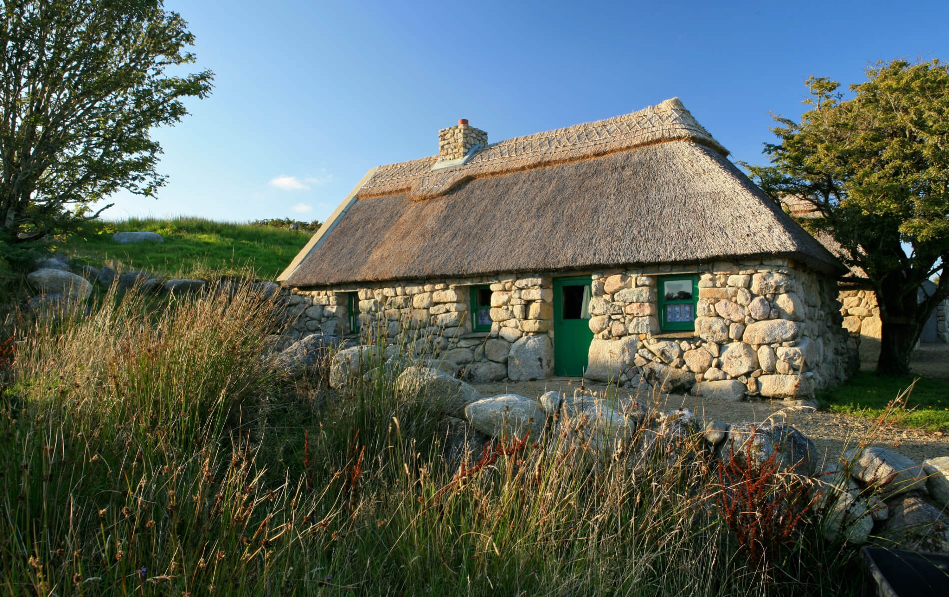 Stone-built thatched cottage with green door set among tall grass in Cnoc Suain, Galway.