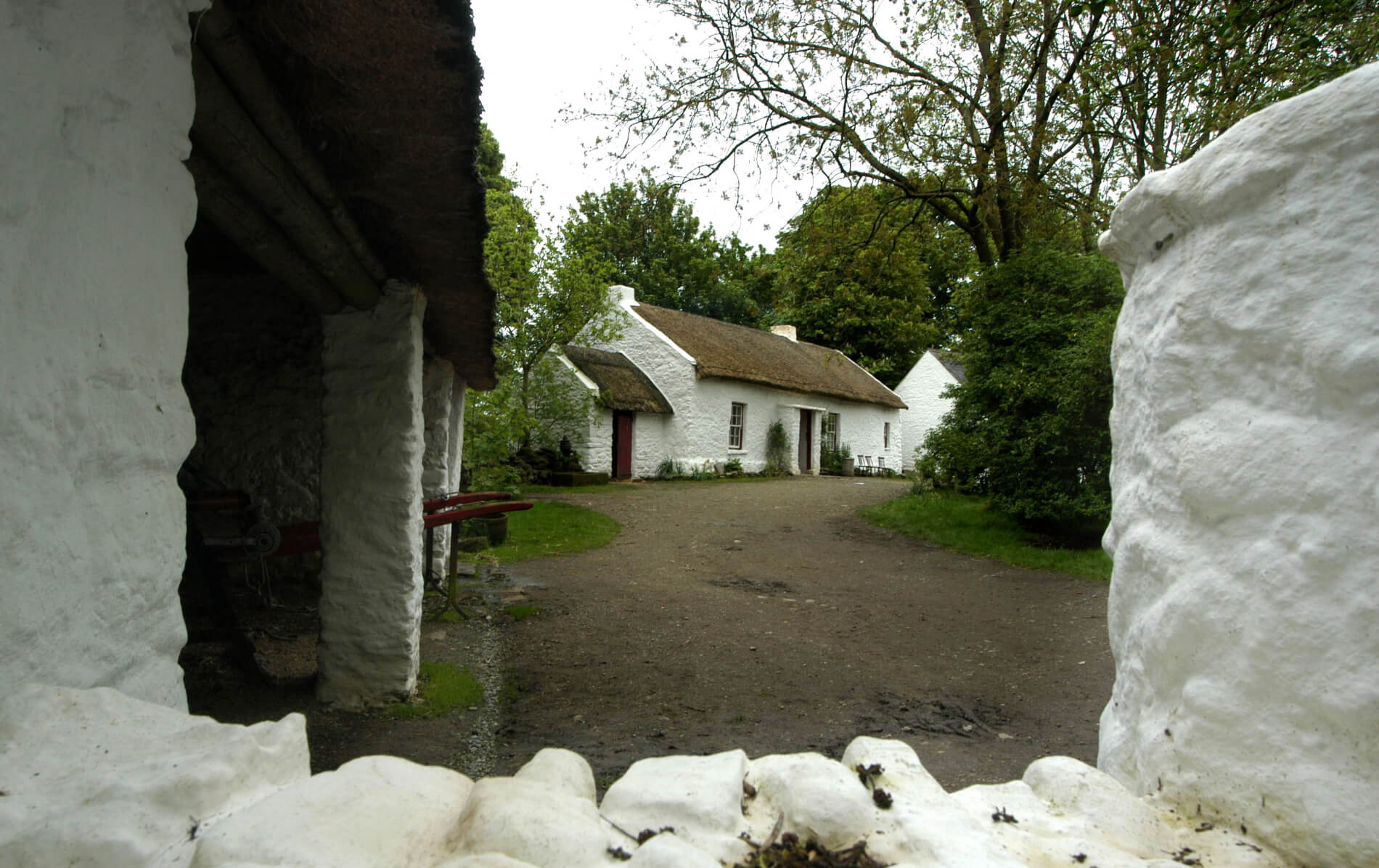 Traditional whitewashed thatched cottages in a tree-lined rural setting at Ulster American Folk Park, Tyrone.