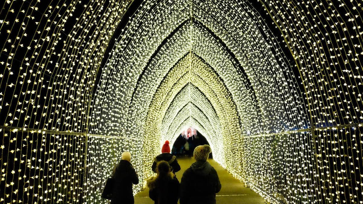 Besucher des Hillsborough Castle in der Grafschaft Down spazieren durch einen Tunnel aus funkelnden Weihnachtslichtern, der einen Bogen aus warmem, goldenem Licht über sie spannt.