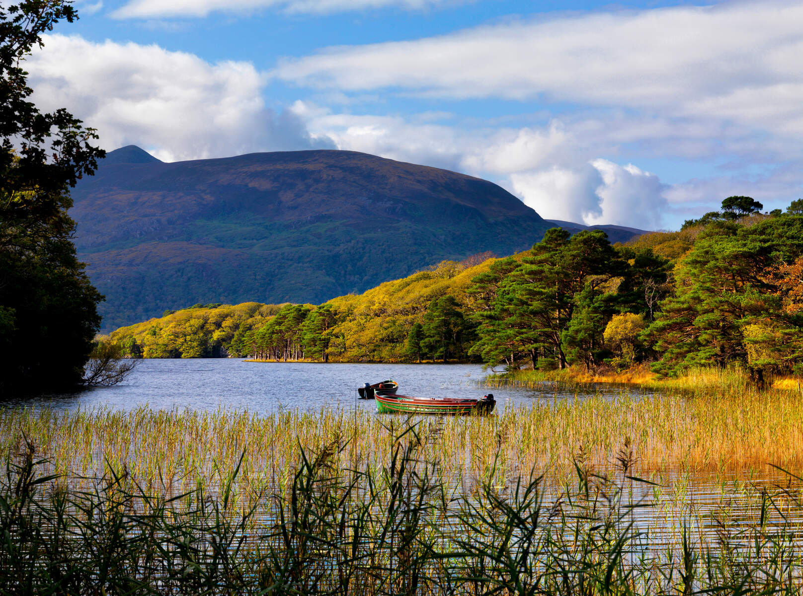 Voyage en Irlande : 9 conseils essentiels afin de réussir votre séjour