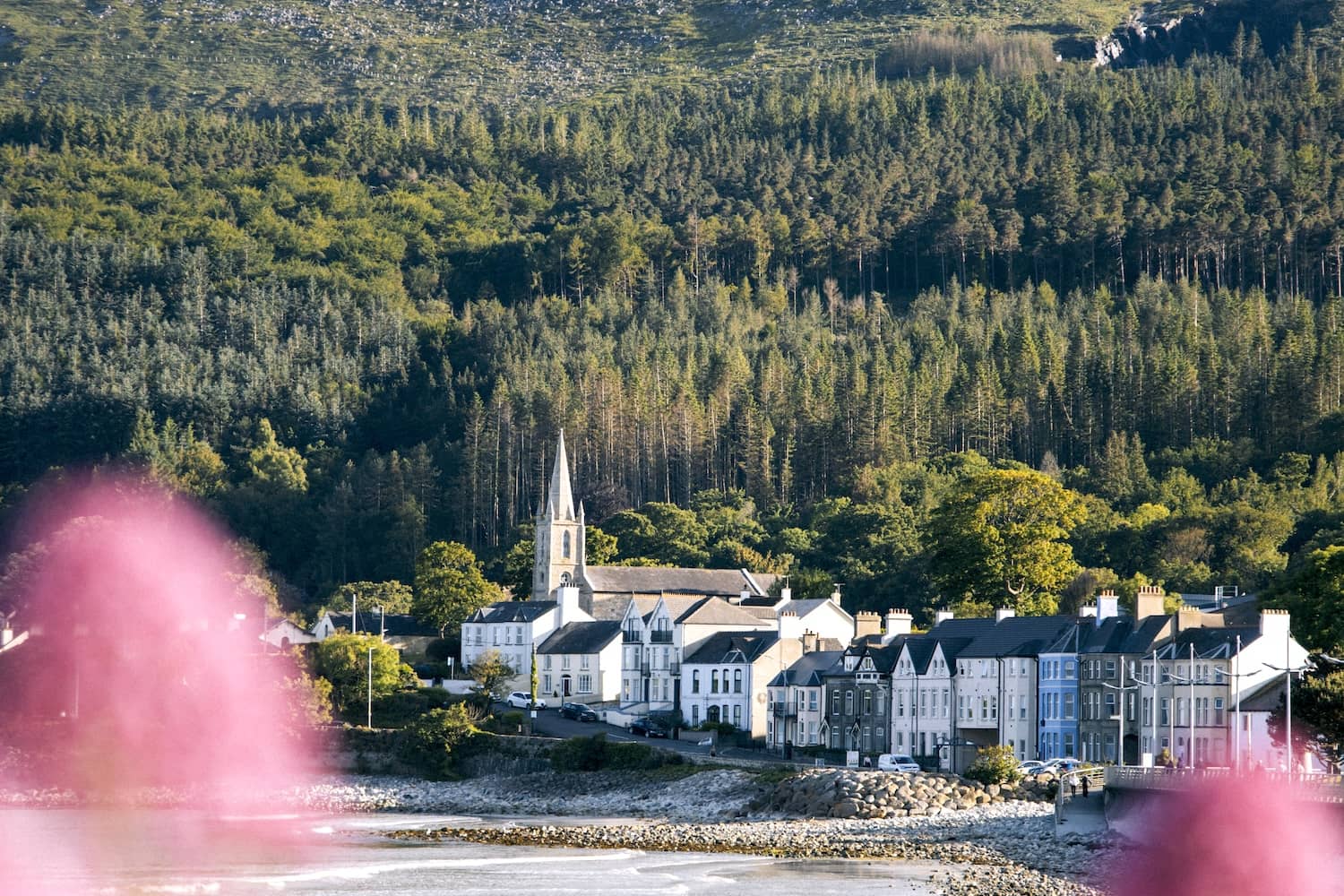 Coastal view of Newcastle, County Down, with colourful houses, a church spire and forested hills in the background.