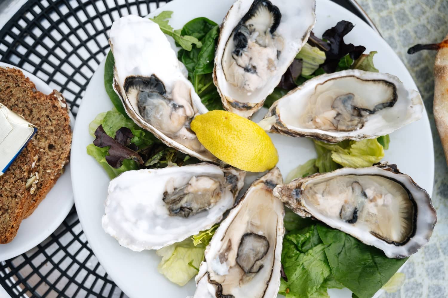 Fresh oysters on the half shell served with lemon and salad leaves in Baltimore, County Cork.