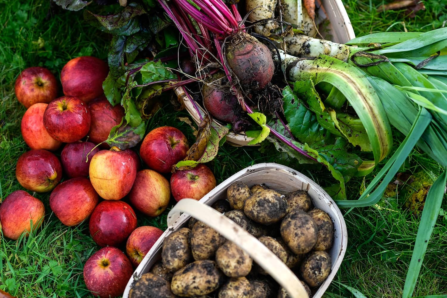 Freshly harvested apples, potatoes, beetroot and leeks displayed outdoors at Mount Congreve Gardens, County Waterford.