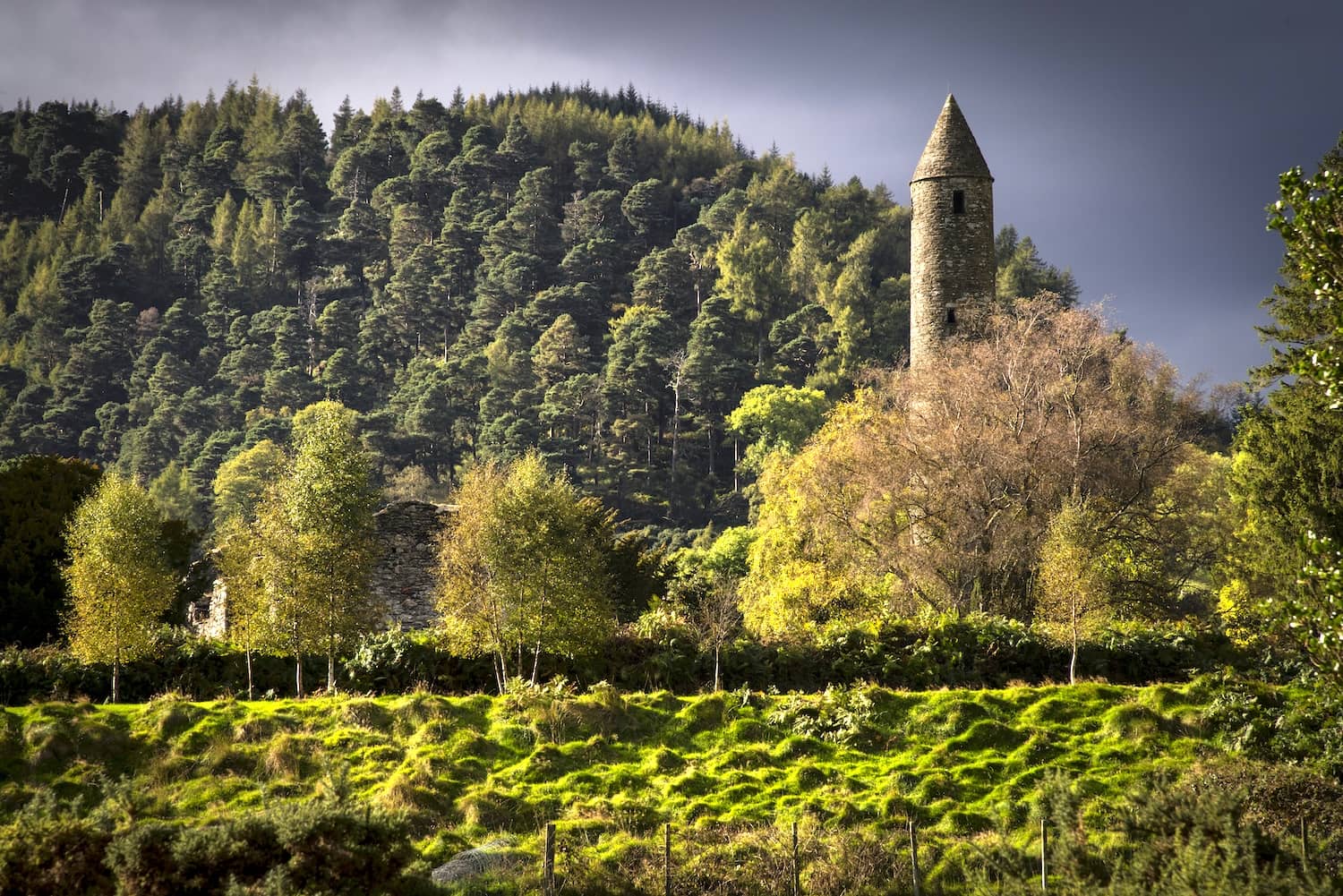 Historic Glendalough Round Tower surrounded by woodland in County Wicklow.