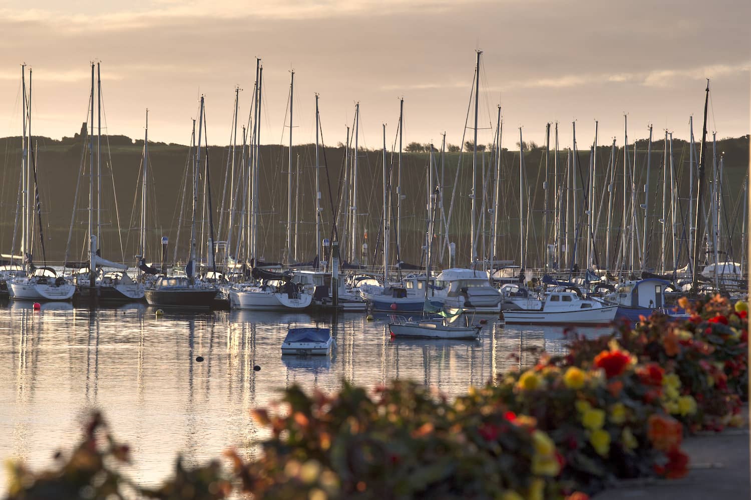 Yachts moored in Kinsale Harbour at sunset in County Cork.