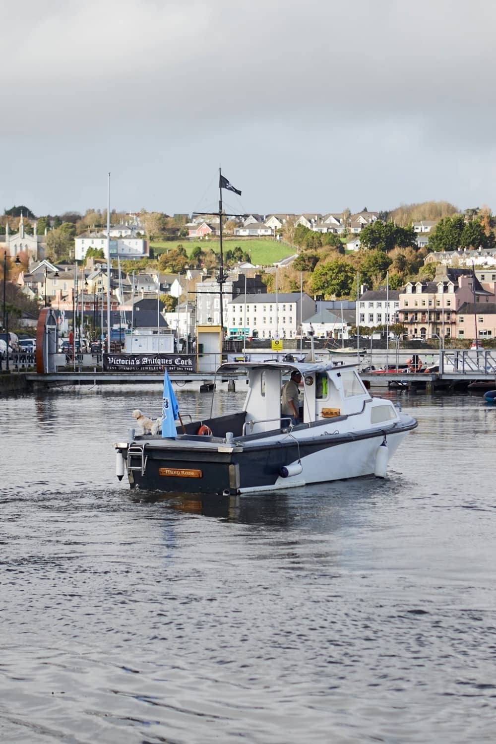 Boat with a dog on deck sailing in Kinsale harbour, with pastel houses and green hills in the background.