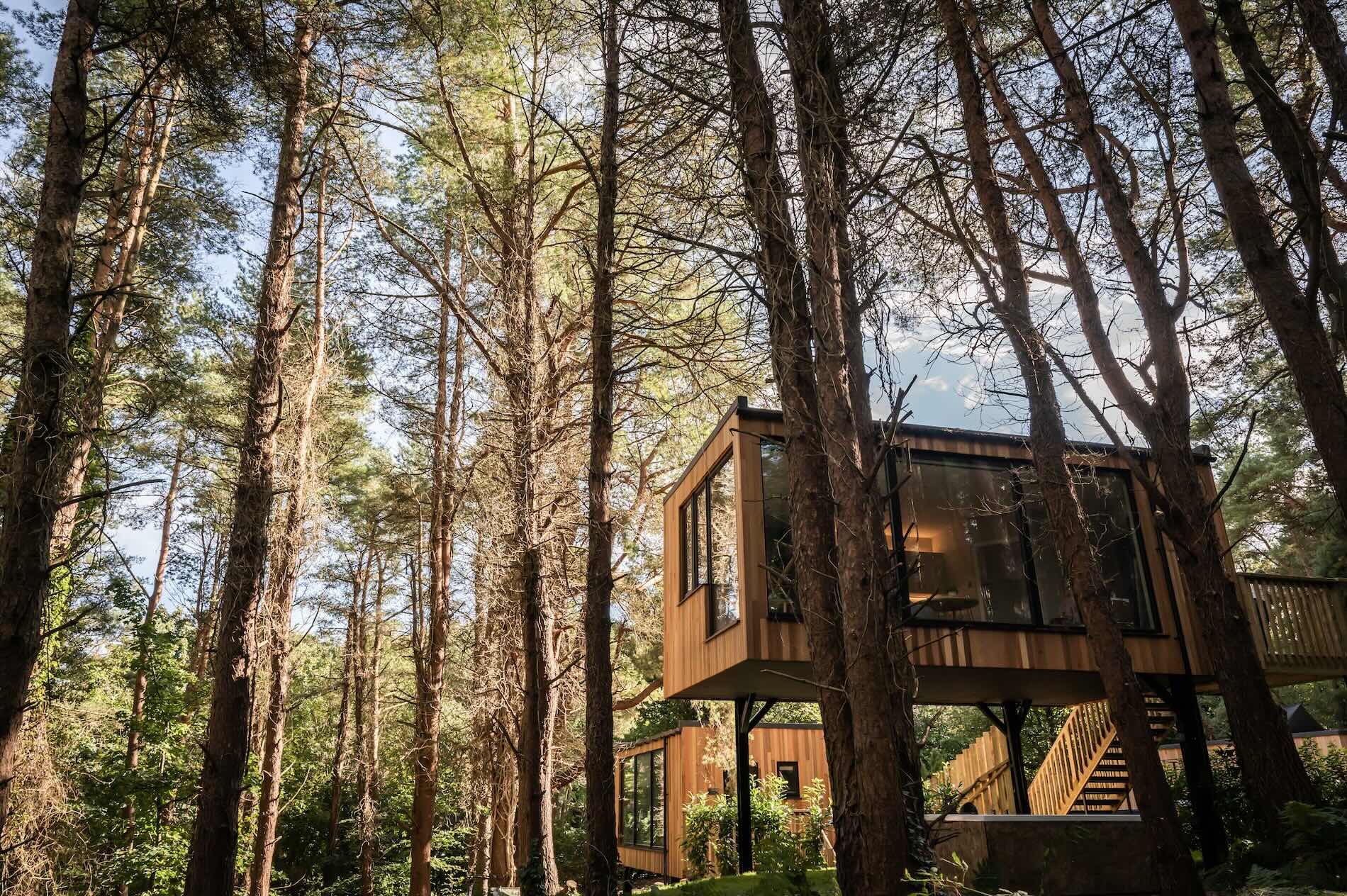 A modern wooden cabin elevated among tall pine trees in a peaceful forest clearing.