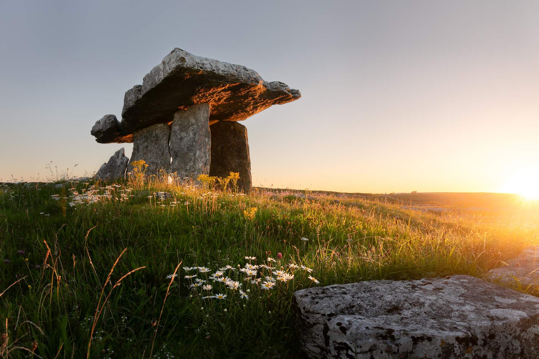 The flat capstone and upright stones of a dolmen stand on wildflower-dotted limestone, under a warm sunset glow.