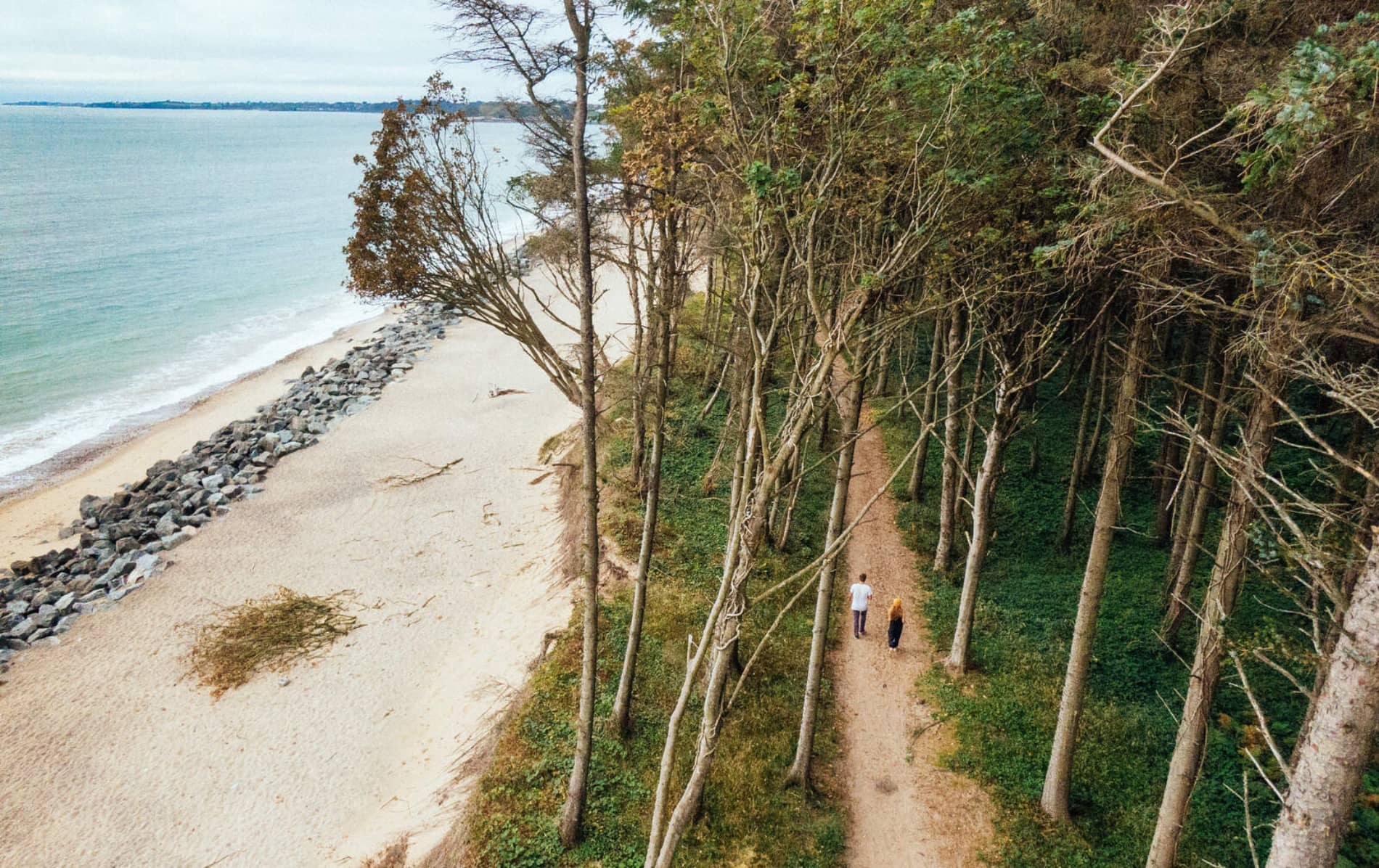 Two people walking a forest path beside Courtown Beach, with trees and sandy shoreline in County Wexford.