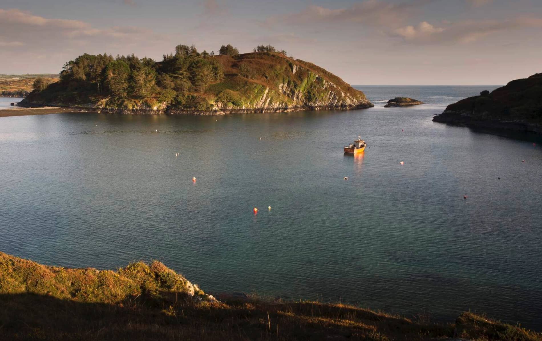 Una tranquila escena en Lough Hyne, Cork, que muestra una cala tranquila con un pequeño barco de pesca anclado cerca de una colina cubierta de árboles.