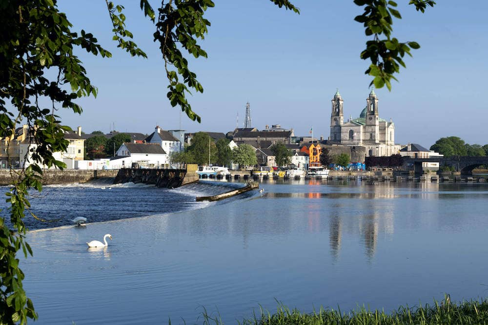 Wide view of the River Shannon with swans and Athlone town and cathedral in the distance.