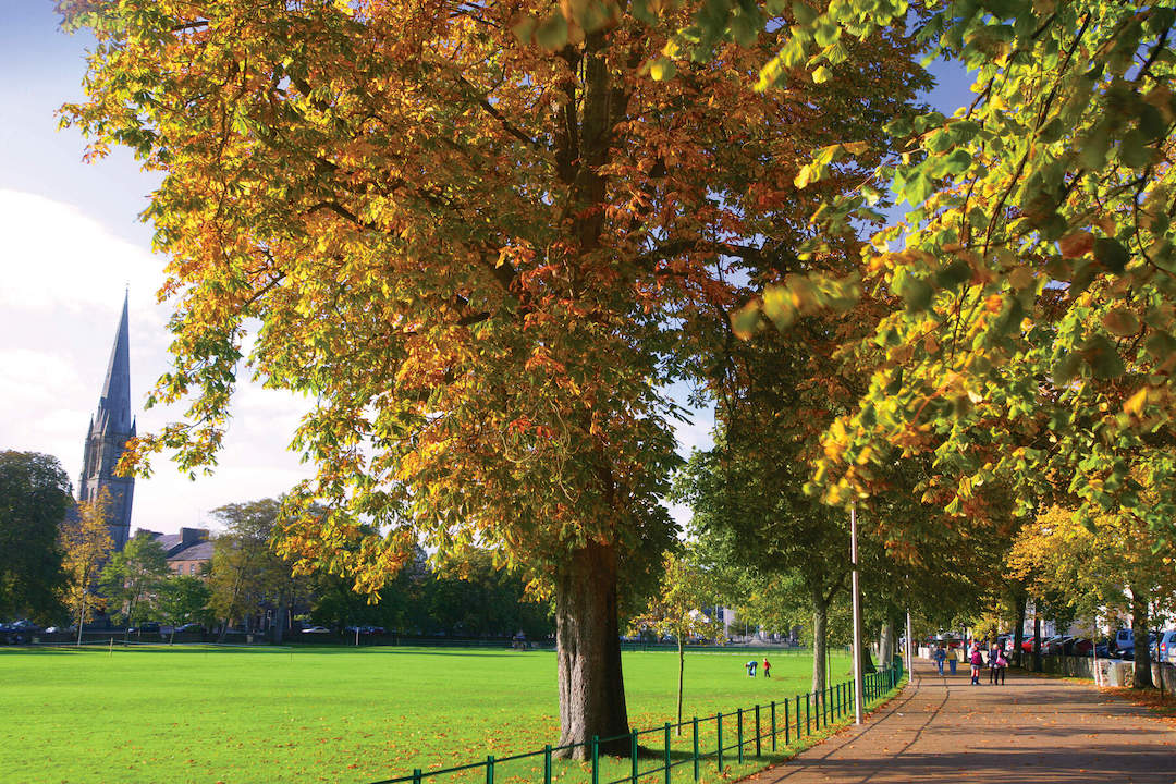 Tree-lined walkway beside The Mall in Armagh city, with spire of First Presbyterian Church in distance.