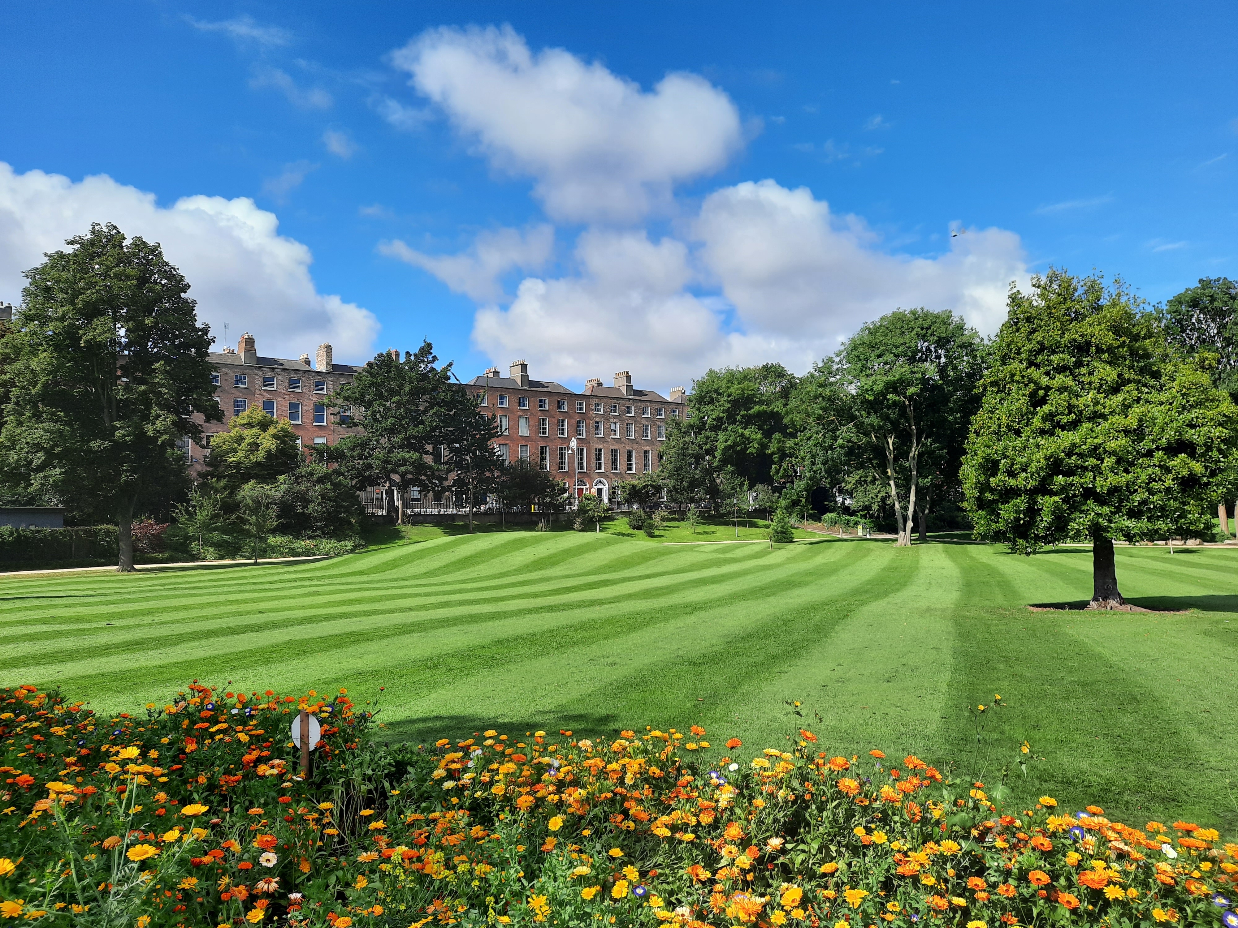 Georgianische Stadthäuser mit Blick auf einen grünen Park in Dublin an einem sonnigen Tag.