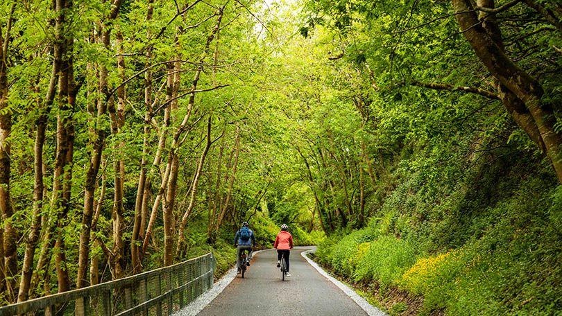 Two cyclists ride along a leafy green stretch of the Limerick Greenway.