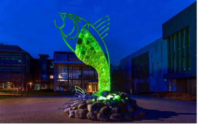 sligo-st-patricks-day-celebrations