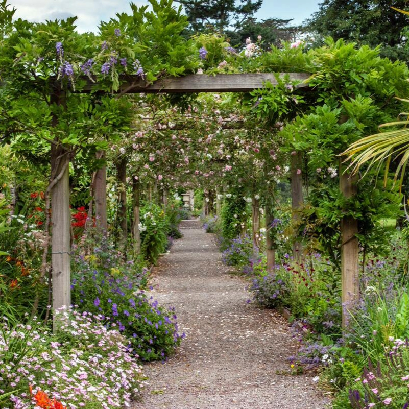 Pergola walkway draped with flowering climbing plants in the walled gardens at Blarney Castle, County Cork.