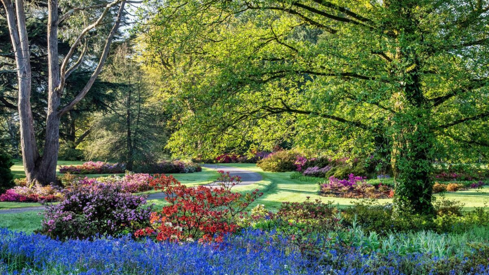 Colourful flower beds and winding paths in Blarney Gardens beneath mature trees on the Blarney Castle estate.