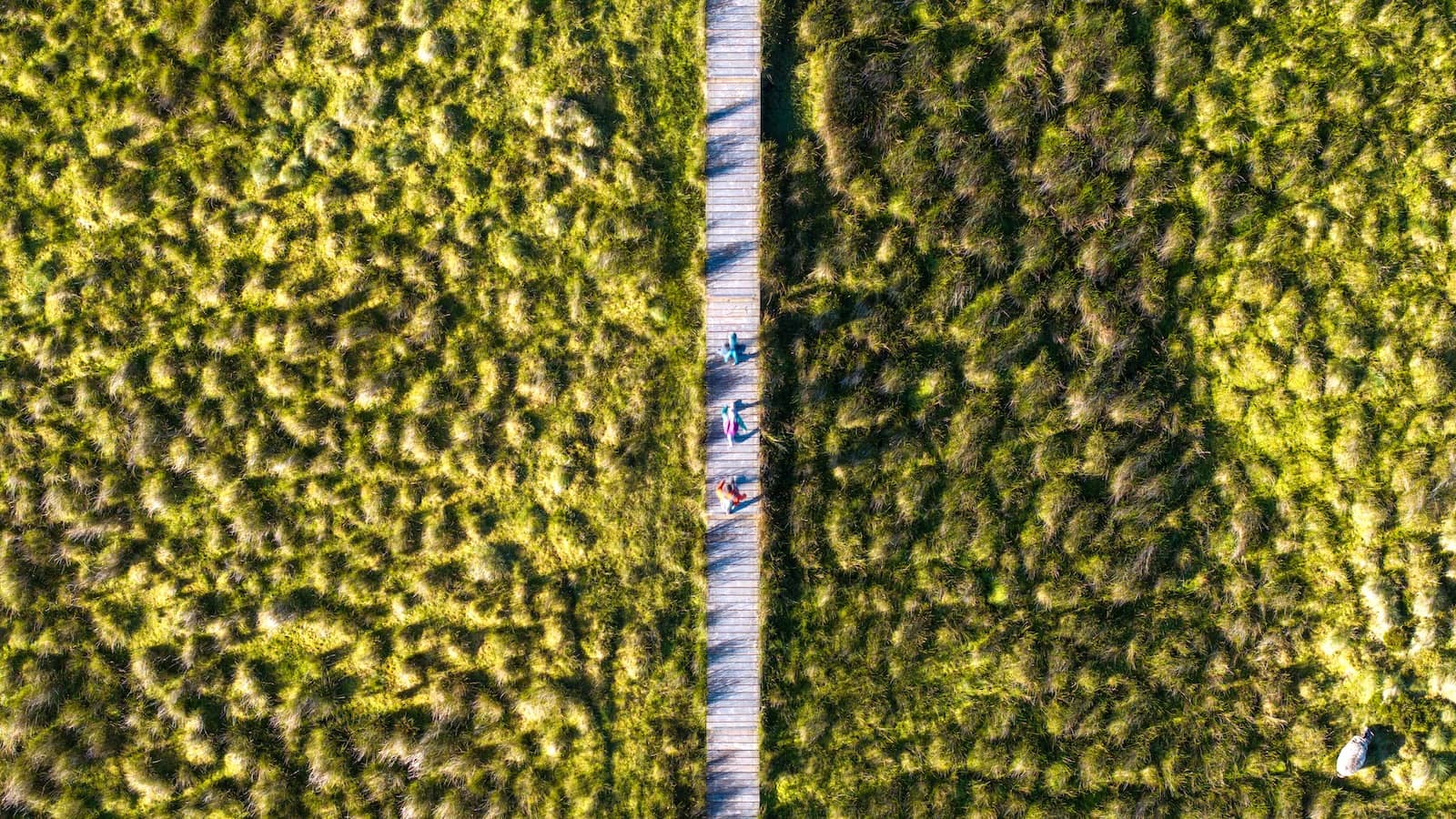 Aerial view of walkers on the Cuilcagh Boardwalk trail crossing blanket bog in County Fermanagh.