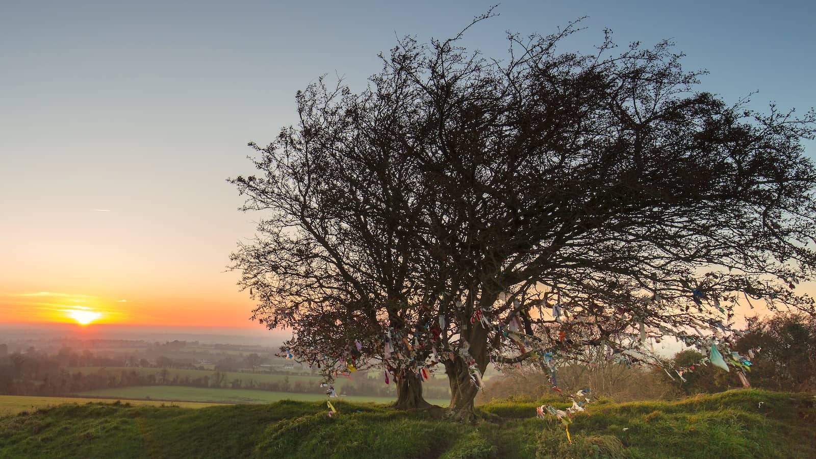 Fairy Tree on the Hill of Tara at sunrise, its branches adorned with colourful ribbons against a glowing sky.