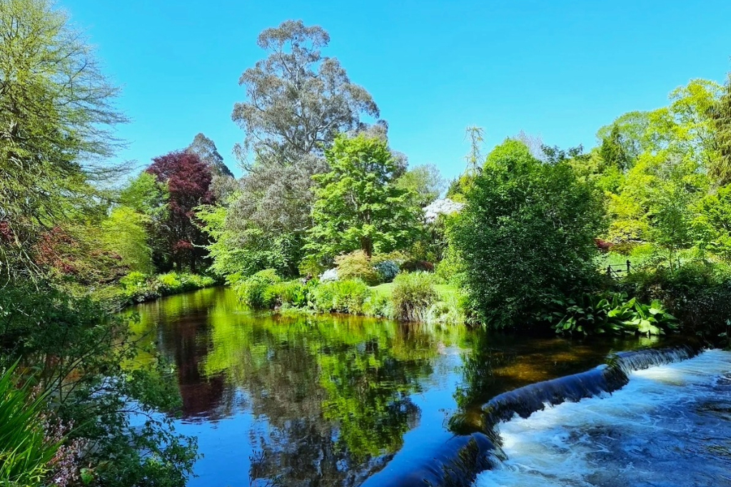 River and small waterfall reflecting colourful trees and blue sky in Mount Usher Gardens, County Wicklow.