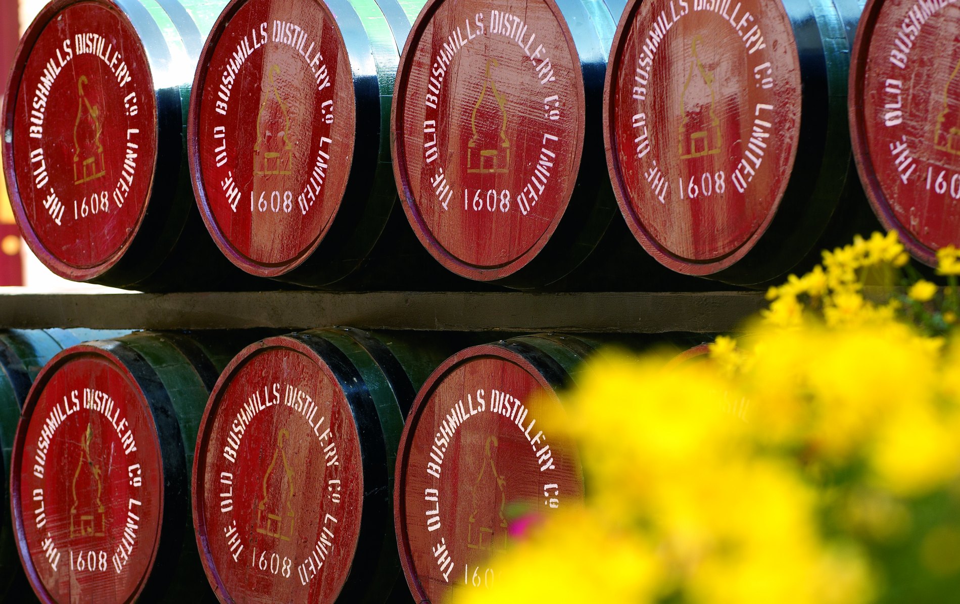 whiskey-trail-bushmills