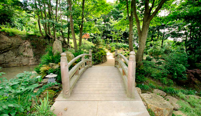 Puente de madera sobre un camino paisajístico en los jardines japoneses de Lafcadio Hearn, Waterford.