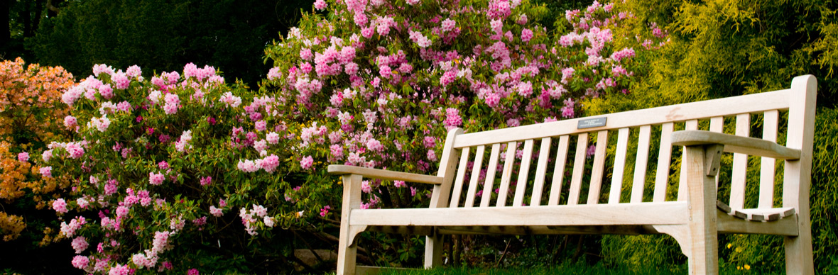 irelands-gardens-rowallane-strip