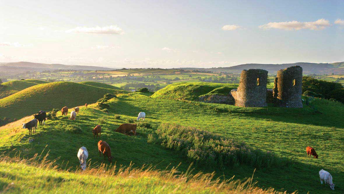 summer-images-tyrone