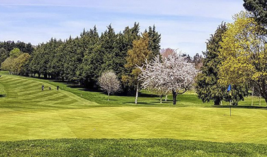 greystones-golf