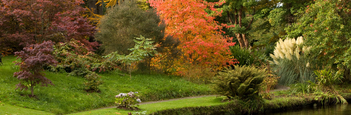 irelands-gardens-mount-usher-strip