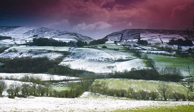 we-recommend-2-resized