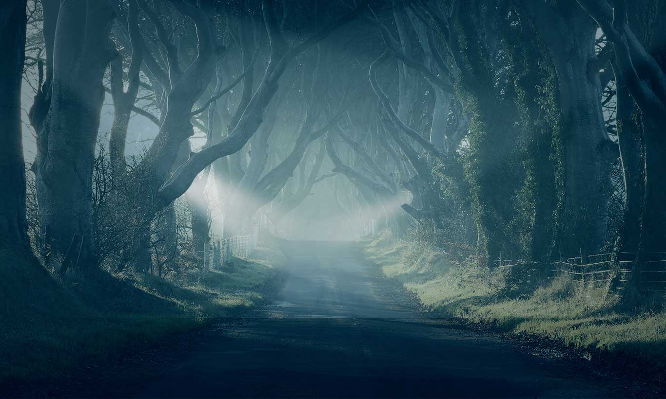 got-doors-background