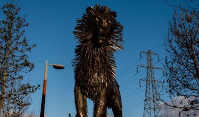 Sculpture of a lion made of metal shards stands tall beside trees and power lines in Belfast, Northern Ireland.