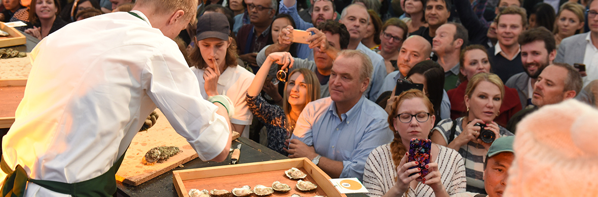 Oysters-in-ireland-strip-one